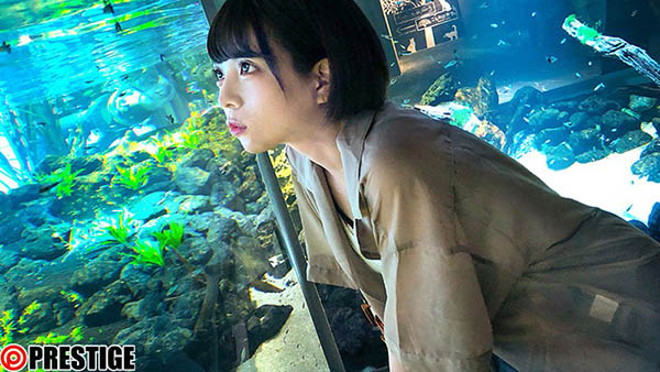 如月せな(如月濑奈,Kisaragi-Sena)作品ESK-316介绍及封面预览