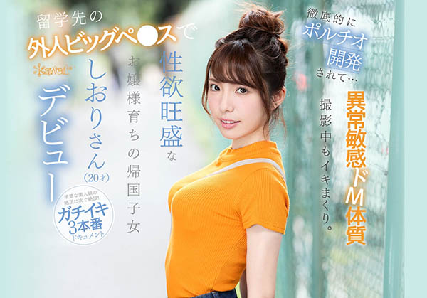 芦那しおり(芦那诗织)品番作品IPX-376介绍及预览-八福集