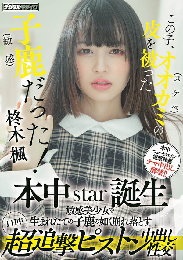 柊木枫(Hiiragi-Kaede)品番作品HMN-049介绍及预览-八福集