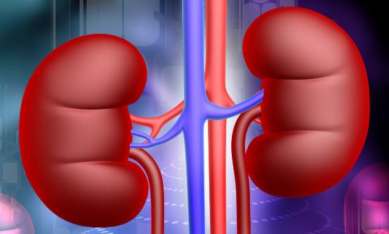 女性产后易出现肾虚症状 产后吃什么补肾效果最好-八福集