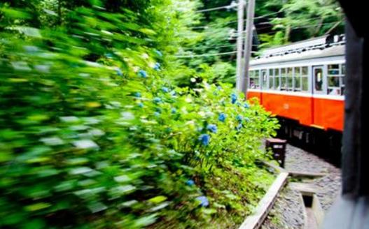 出境旅游的自我保护 避免卷入不必要的麻烦-八福集