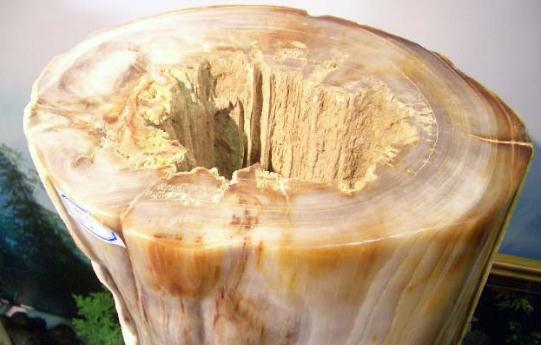 树化玉有哪些价值?