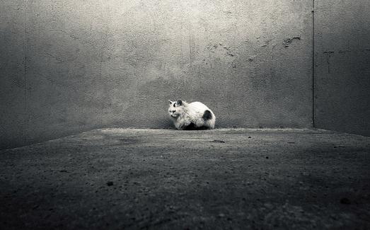 如何与自闭症儿童沟通？-八福集