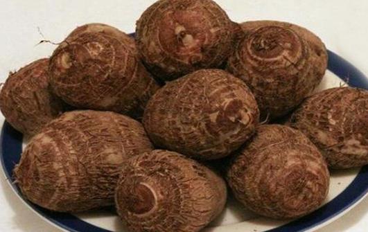 致癌植物知多少 和有毒植物打交道的窍门-八福集