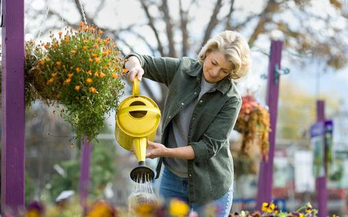 7月份适合种植什么花卉？-八福集