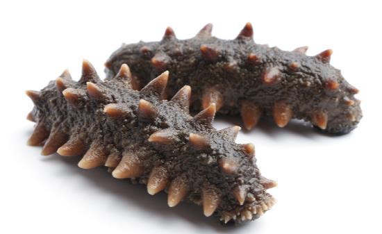 哺乳期能吃海参吗 哺乳期吃海参的最佳时间-八福集