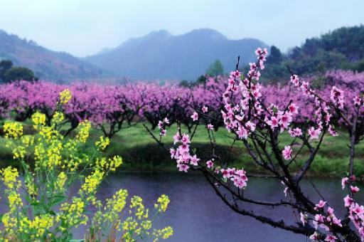 春季踏青要注意什么事项-八福集