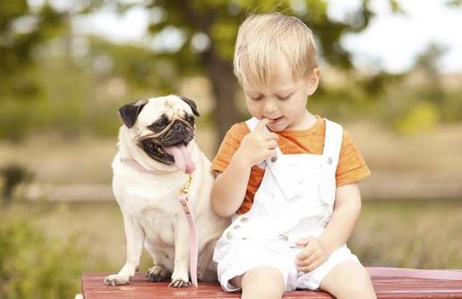 孩子不愿意去幼儿园的原因-八福集