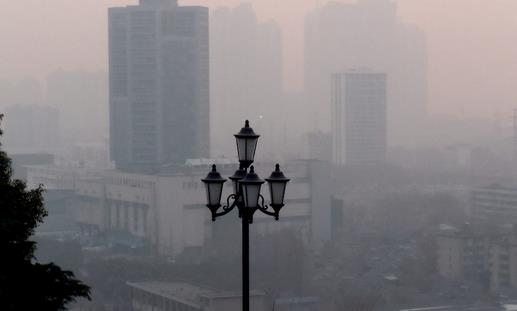 家里种什么植物能够对抗雾霾-八福集