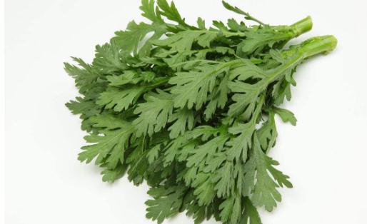 多吃10种蔬菜 让宝宝聪颖过人-八福集