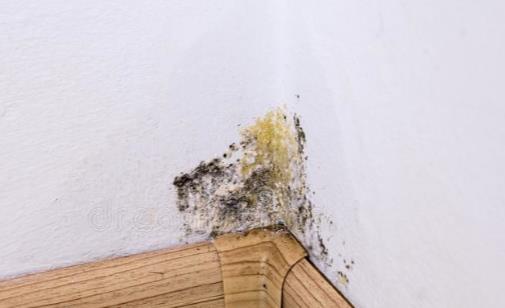 墙壁发霉帮你赶走顽固霉斑 日常简易处理小窍门-八福集