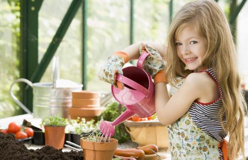 浇水不当是花卉死亡的主要原因 养花要从学浇水开始-八福集
