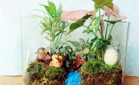 自己DIY苔藓微景观 苔藓微景观养护技巧-八福集