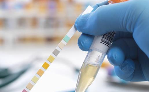 女人怀孕早期症状多 怀孕初期7大方面要做到位