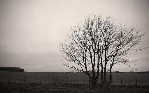 这些急救措施存在隐患！-八福集