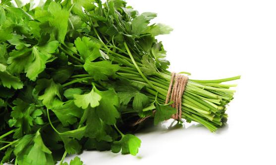 吃香菜增强食欲消食健胃 吃香菜注意事项-八福集