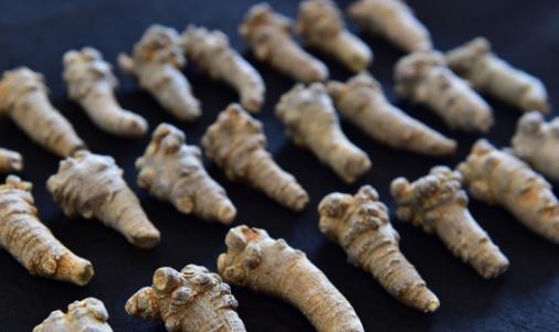 三七粉祛瘀又补益 三七粉的正确吃法是一种病一个量-八福集