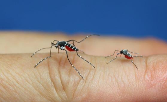 推荐驱除蚊子的好方法 整夜都不会被蚊子打扰哦-八福集