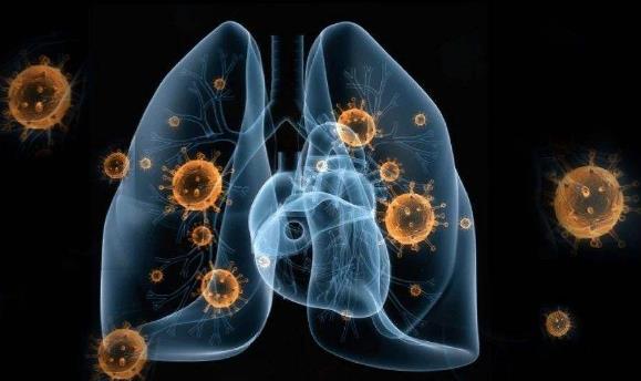 24问新型冠状病毒肺炎乙类传染病 事实到勘谬最全知识点-八福集