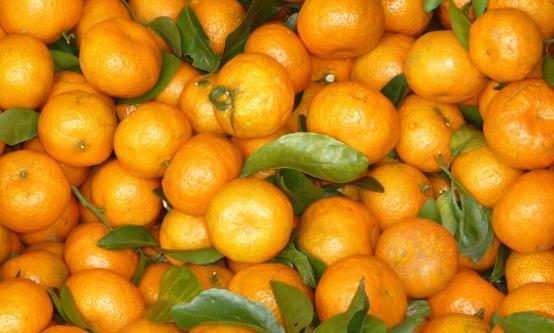 常食沙糖桔祛痰平喘调理脾胃 食用沙糖桔的注意事项-八福集