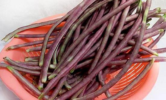 八月豆为人体补充丰富氨基酸 八月豆的食用方法-八福集