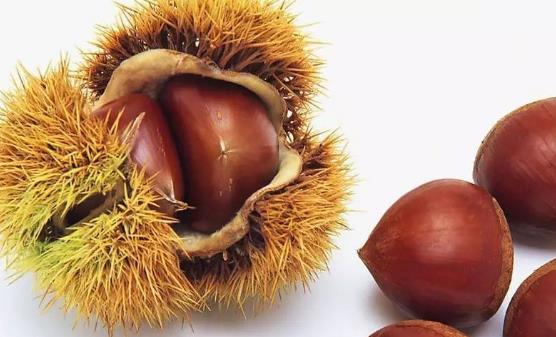 生活中能够补肾的食物 4款食疗方补肾美颜