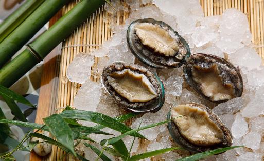 鲍鱼该如何清洗?鲍鱼如何挑选-八福集