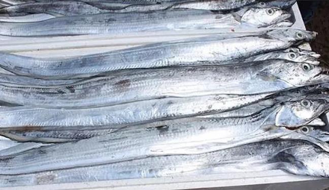 甲醛浸泡过的带鱼一碰热油就扭曲、炸裂“开花”,千万别买别吃