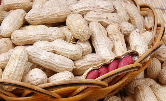 花生称为长生果 常吃吃花生四大好处-八福集