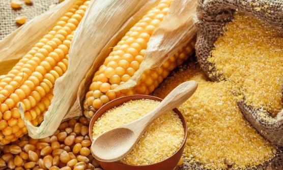 遭嫌弃却深含大营养的食物 难吃却最营养-八福集