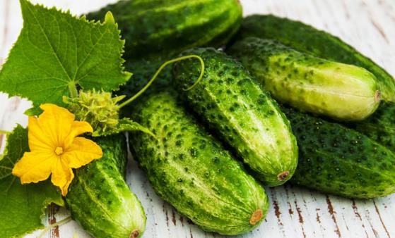 爱上黄瓜的11个理由 几道黄瓜快手菜夏日必备-八福集