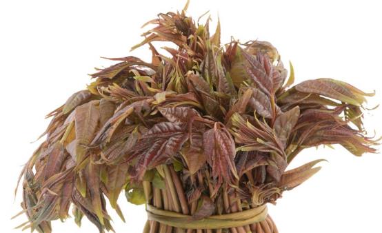 香椿芽的功效与作用 香椿的食用方法-八福集