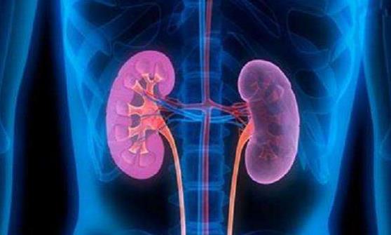 要想肾脏芳华永驻 提倡在没病时就做好预防-八福集