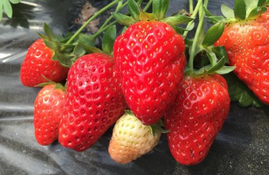 20个保存食物的小妙招 保证让你受用无穷-八福集