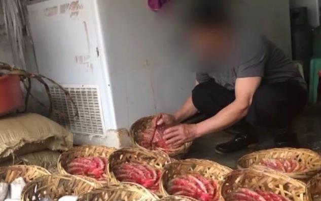 无良商贩用色素给三苏红鱼上色,用手轻轻一摸,手还会被染红