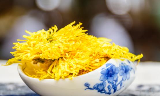 菊花茶可不可以天天喝 喝菊花茶需要随泡随饮不要隔夜-八福集