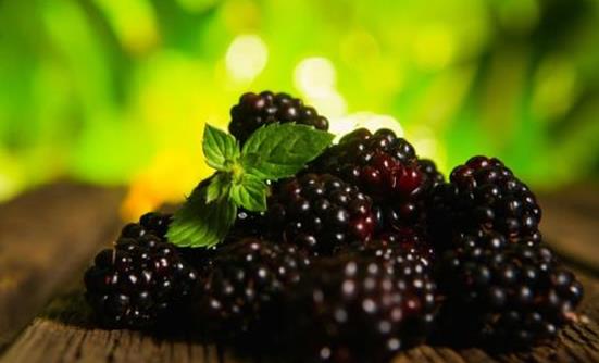 饮用桑葚酒好处多 桑葚酒的功效与作用-八福集