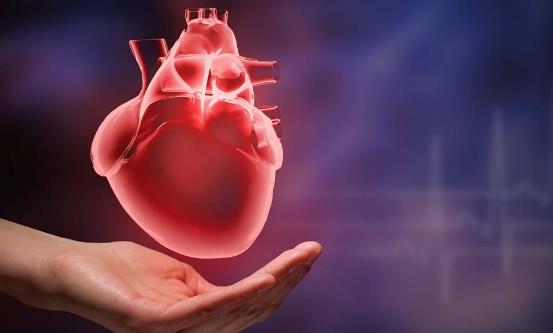 生物钟对人体都至关重要 应注意保持有序节律-八福集