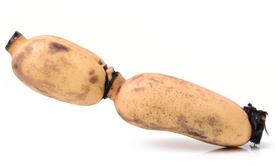 莲藕的滋补作用 推荐莲藕的2款食用方法-八福集