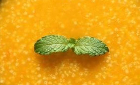 想要做出营养可口的粥 掌握厨房煮粥的小窍门