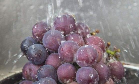 清洗葡萄的小技巧 洗出的葡萄干净好吃-八福集