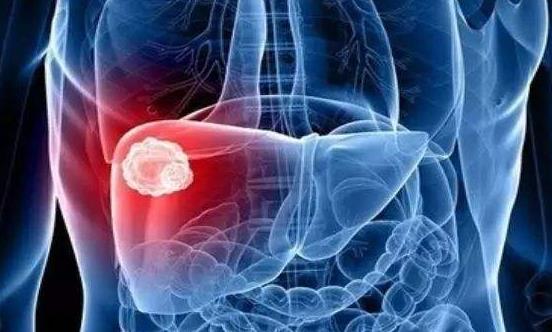 保护肝脏的9个关键点 防范“天敌”来护肝-八福集