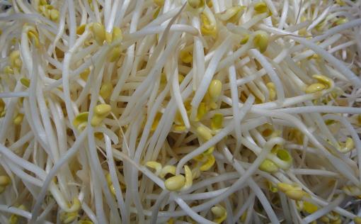 挑选新鲜的蔬菜小妙招 再也不用担心会被菜贩骗-八福集