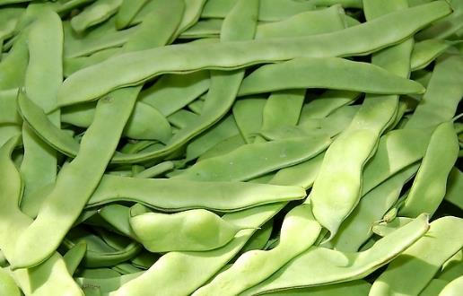 6种蛋白质来源 可替代的高蛋白食物大揭秘-八福集