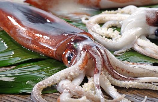 鱿鱼花枝和软丝傻傻分不清 教你一招来辨认-八福集