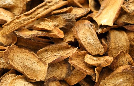 牛蒡茶与牛蒡根,哪个更好?二者仅一字之差,具体又有哪