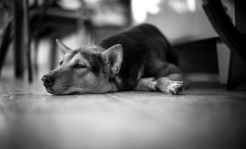 生活懒散竟也有那么多危害！-八福集