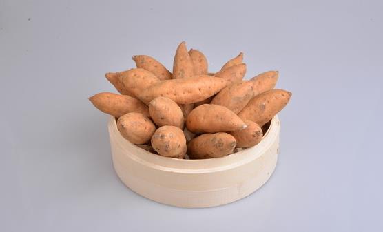 养生对女人同样很重要 女人养生晚餐健康吃法