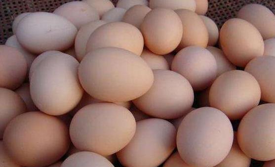 生活中容易入坑的10个小常识 信了你就输了-八福集