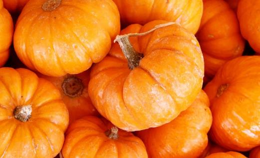 为了锻炼身体每天晚上暴汗打卡 过度养生对身体不利-八福集